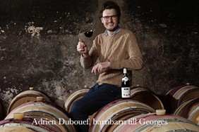 Vinprovning i Stockholm med Georges Duboeuf