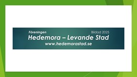 Bilutställning Hedemora Folkets Park
