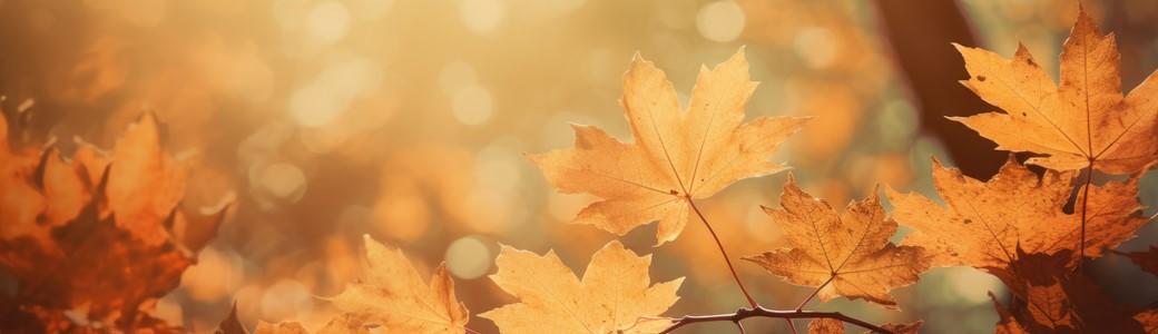 event-cover-image
